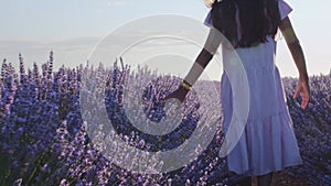 Teen girl walks by blooming lavender fields with blue lavender flowers.