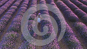 Teen girl walks by blooming lavender fields with blue lavender flowers in summer day.