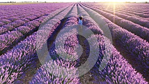 Teen girl walks by blooming lavender fields with blue lavender flowers in summer day.