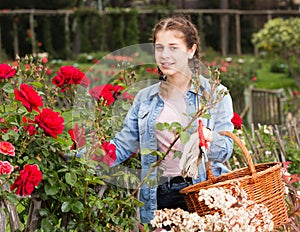 Teen holding a basket and standing near the blooming roses