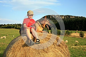 Teenage boy with dog on the meadow