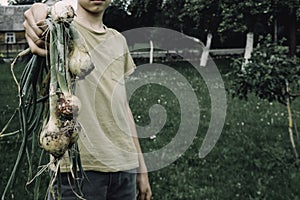 Teenage boy holding fresh onion picked on countryside farm