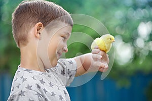 A teenage boy holds a yellow chicken in the palm of his hand in the yard of the house