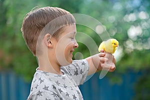A teenage boy holds a yellow chicken in the palm of his hand in the yard of the house