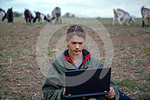 A teenage boy with a laptop grazes goats in a field. A goat herder in a field with a laptop communicates over the Internet.