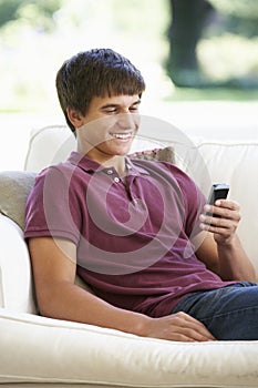 Teenage Boy Sending Text Message Sitting On Sofa