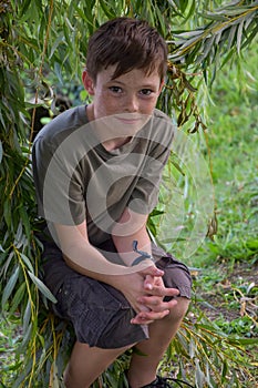Teenage boy sits in the branches of a weeping willow