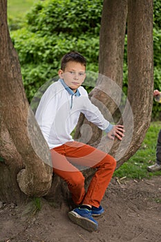 A teenage boy is sitting on a withered tree in the park