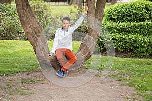 A teenage boy is sitting on a withered tree in the park