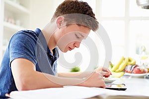 Teenage Boy Studying Using Digital Tablet At Home