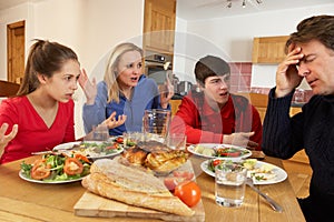 Teenage Family Having Argument photo