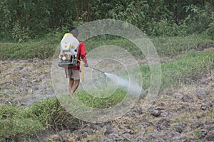 Teenage farmer spraying pesticide without protection