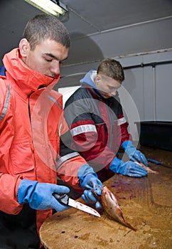 Teenage fishermen photo