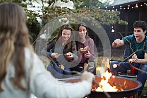 Teenage friends making sï¿½mores with toasted marshmallows