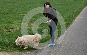 Teenage girl as dog sitter