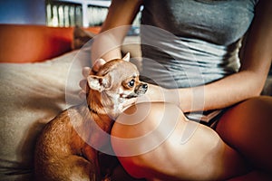 Teenage girl with her dog laying in bed