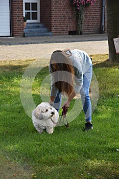 Teenage girl and her  mulish havanese dog