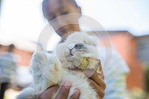 Teenage girl holding cute furry rabbit