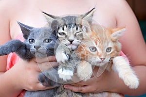 Teenage girl holding three kittens in her arms