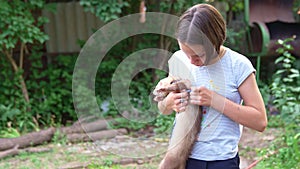 a teenage girl holds a domestic ferret in her hands on a walk. unusual pets.