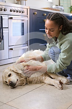 Teenage Girl At Home In Kitchen Stroking Pet Golden Retriever Dog Lying On Floor