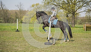 Teenage girl on a horseback jumping over an abstacle in a meadow.