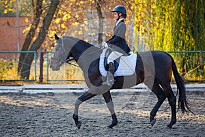 Teenage girl riding horse on equestrian dressage test in autumn