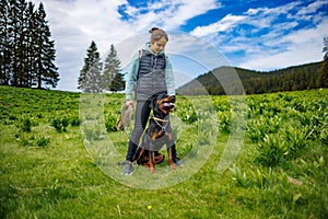 Teenage girl stands with leash in hands next to dog of Rottweiler breed in meadow, against background of fir trees