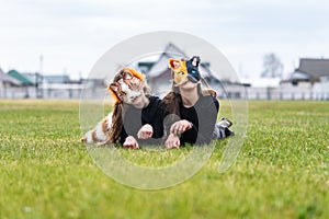 Teenage girls with cat mask and gloves doing Quadrobics. girls in a cat mask is lying on the grass.