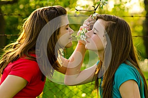 Teenage girls smelling flowers in orchard