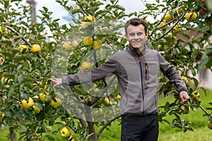 Teenage kid at apple harvest