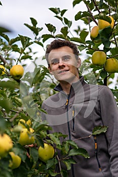 Teenage kid at apple harvest