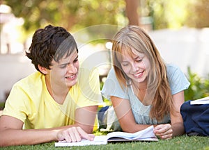 Teenage Student Couple Studying In Park