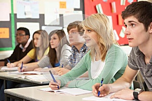 Teenage Students Studying