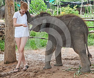 Teenager with baby elephant