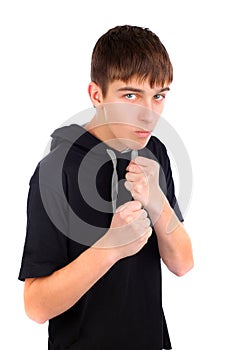 Teenager boxer photo