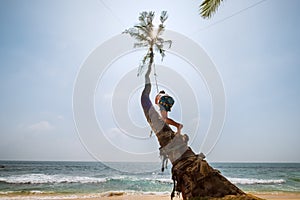 Teenager boy climbing a palm tree for swinging on the beach swing. Sri Lanka island exotic vacation concept image