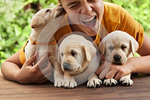 Teenager boy holding his cute labrador puppies, having fun and enjoy their company