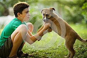 Teenager boy hug puppy shepherd dog close up photo