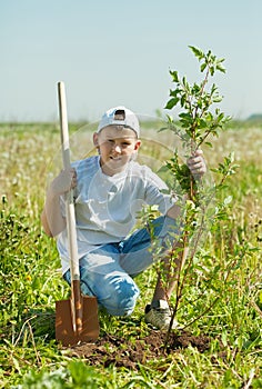 Teenager boy planting tree