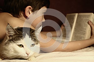 Teenager boy reading book in bed with sleeping cat