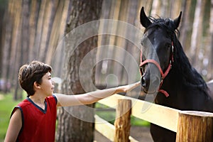 Teenager boy stroke black horse with halter close up summer photo