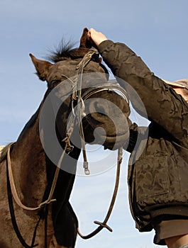 Teenager , bridle and her horse