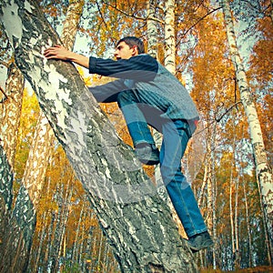 Hochklettern auf der ein Baum 