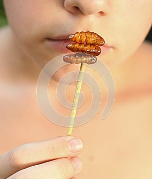 Teenager european boy try unaccostomed asian food - roasted silkworm