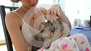 teenager girl caresses, strokes, kisses purring cat sitting on girl's legs