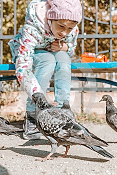 Teenager girl feeding pigeons in the park. The girl sits on a bench and feeds the birds with seeds. Autumn sunny day