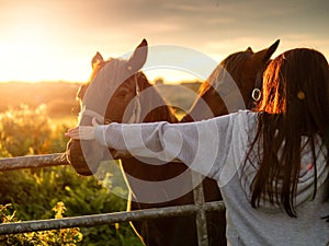 Teenager girl with long hair by a metal gate to a field with dark horses. Selective focus. Models hands on horses faces.