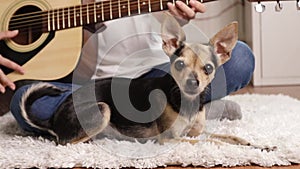 teenager girl playing guitar at home in teen room, Musical talent, guitar lessons, a small dog lies nearby