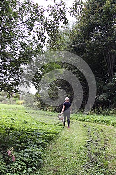 Teenager girl returns from the forest with mushrooms in the basket